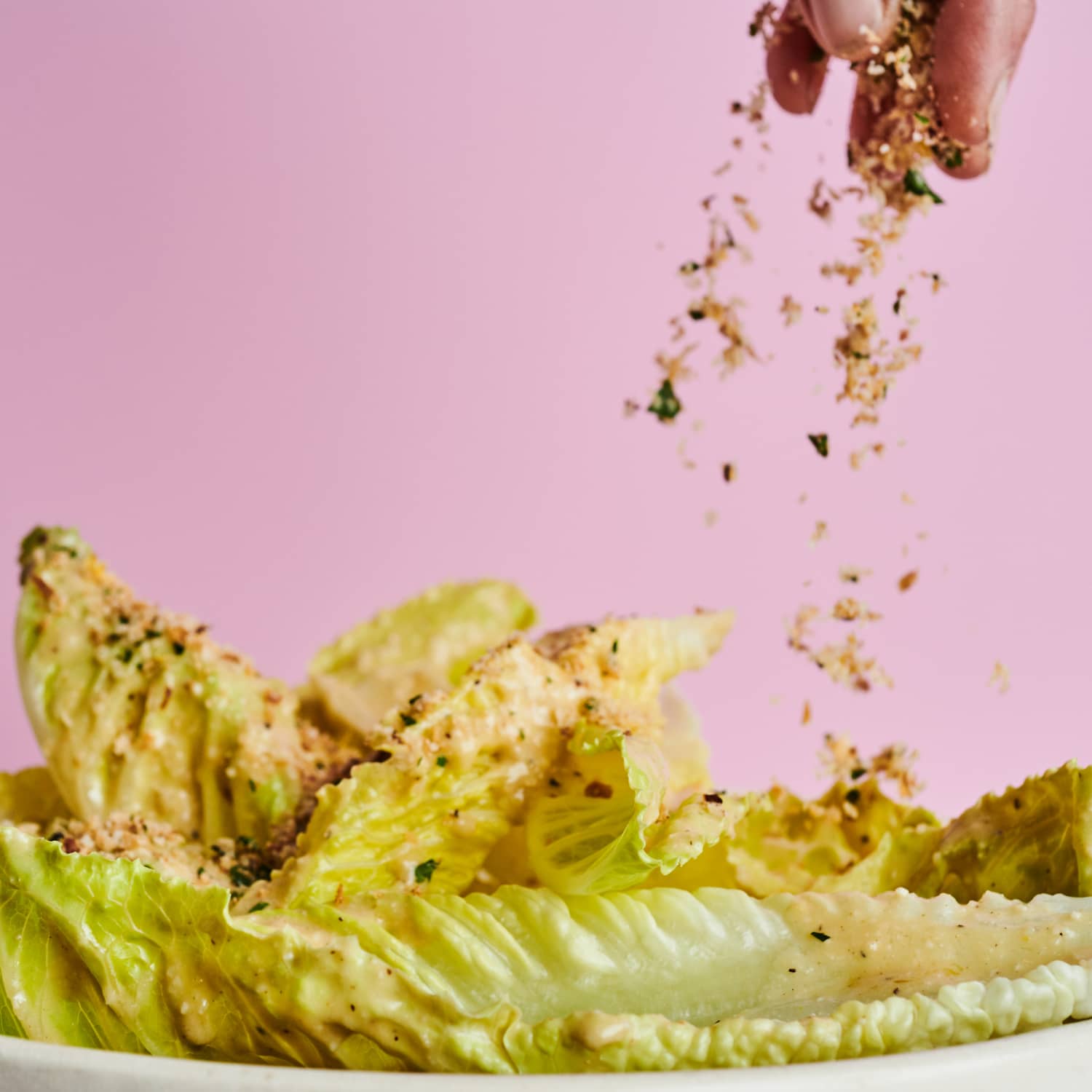 Poor Man's Parmesan Recipe