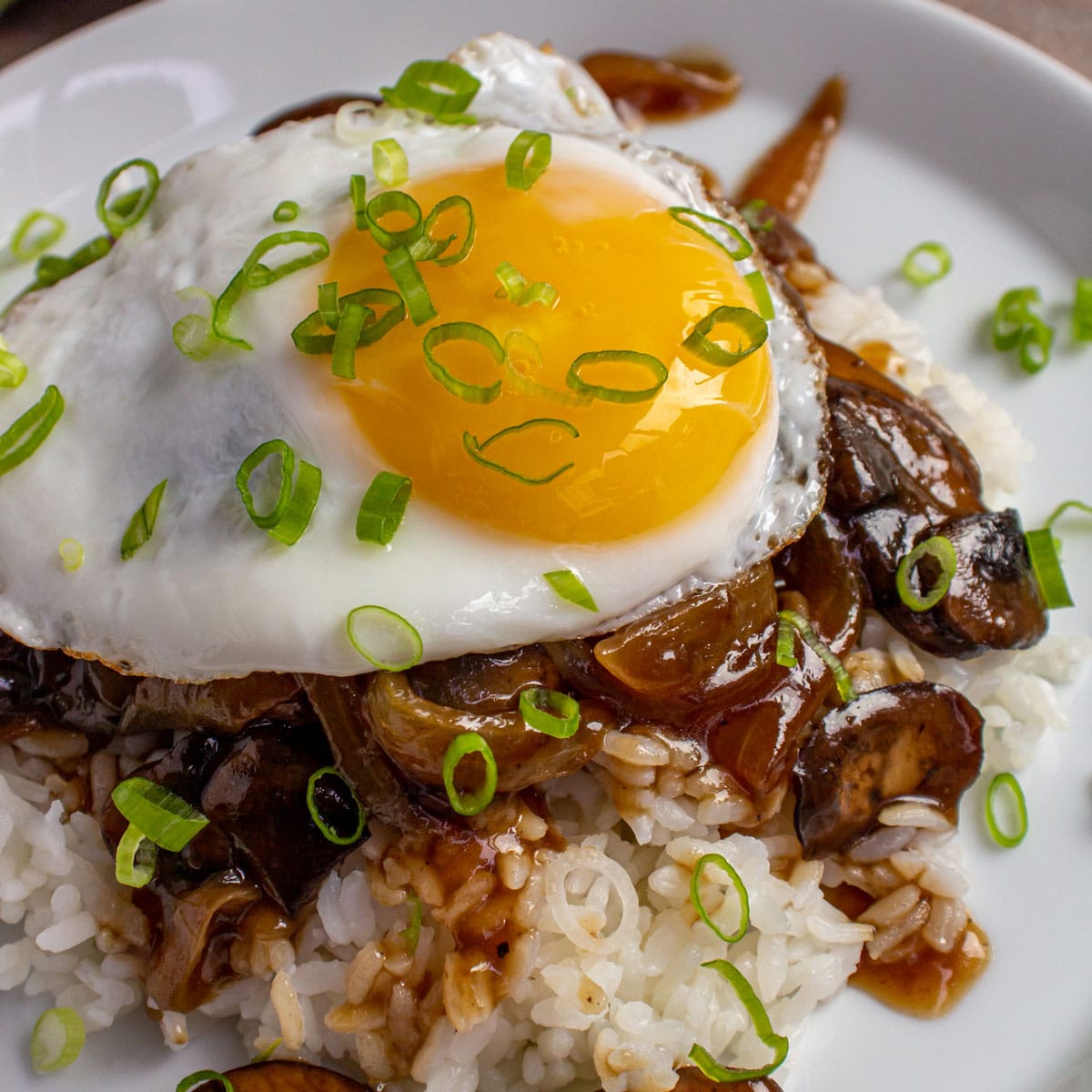 Hawaiian Loco Moco Recipe