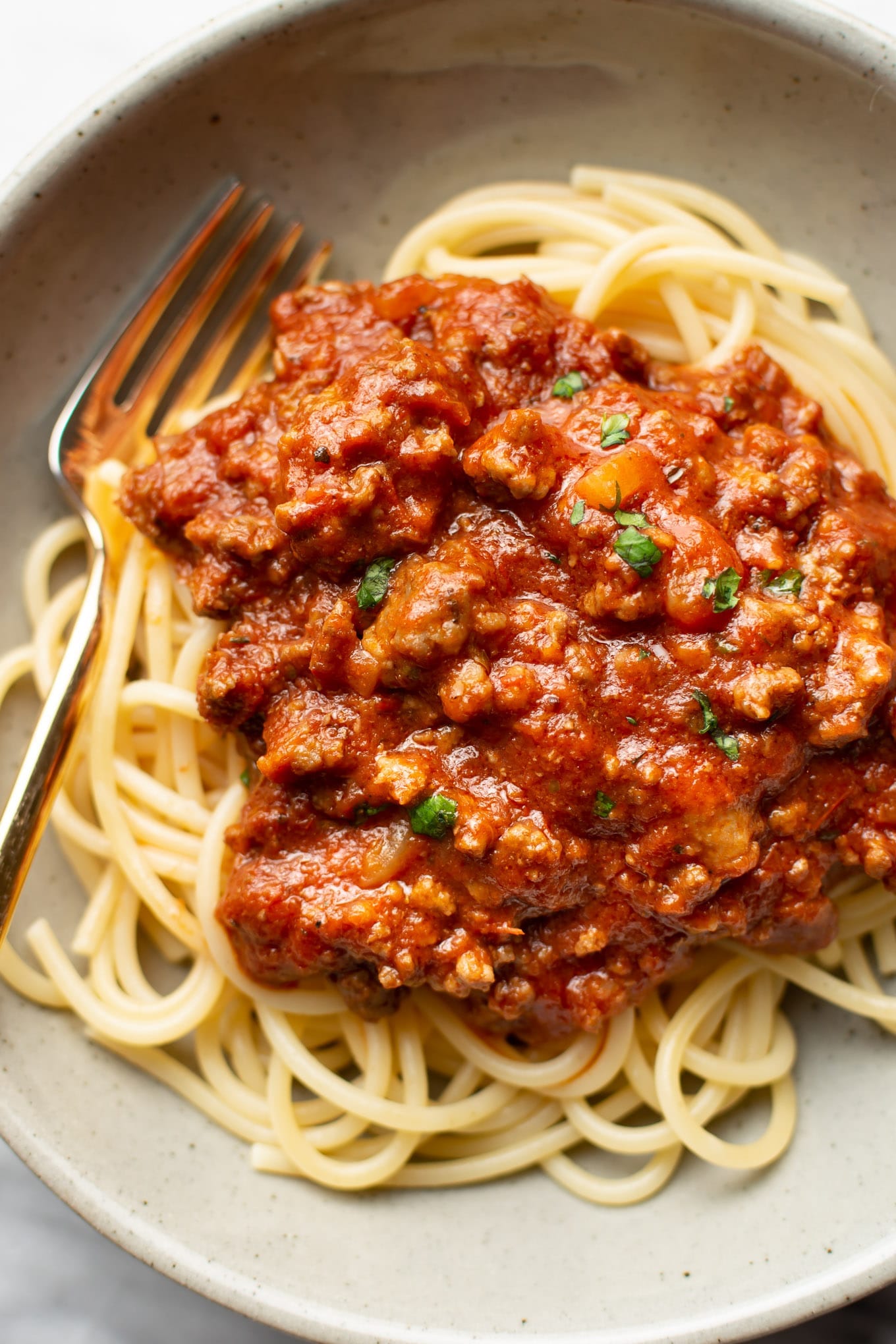 Basic Meat Sauce Recipe