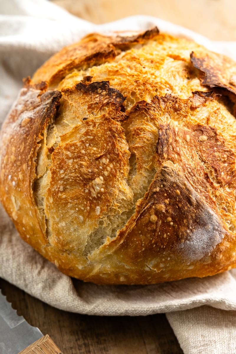 No-Knead Crusty Bread Recipe