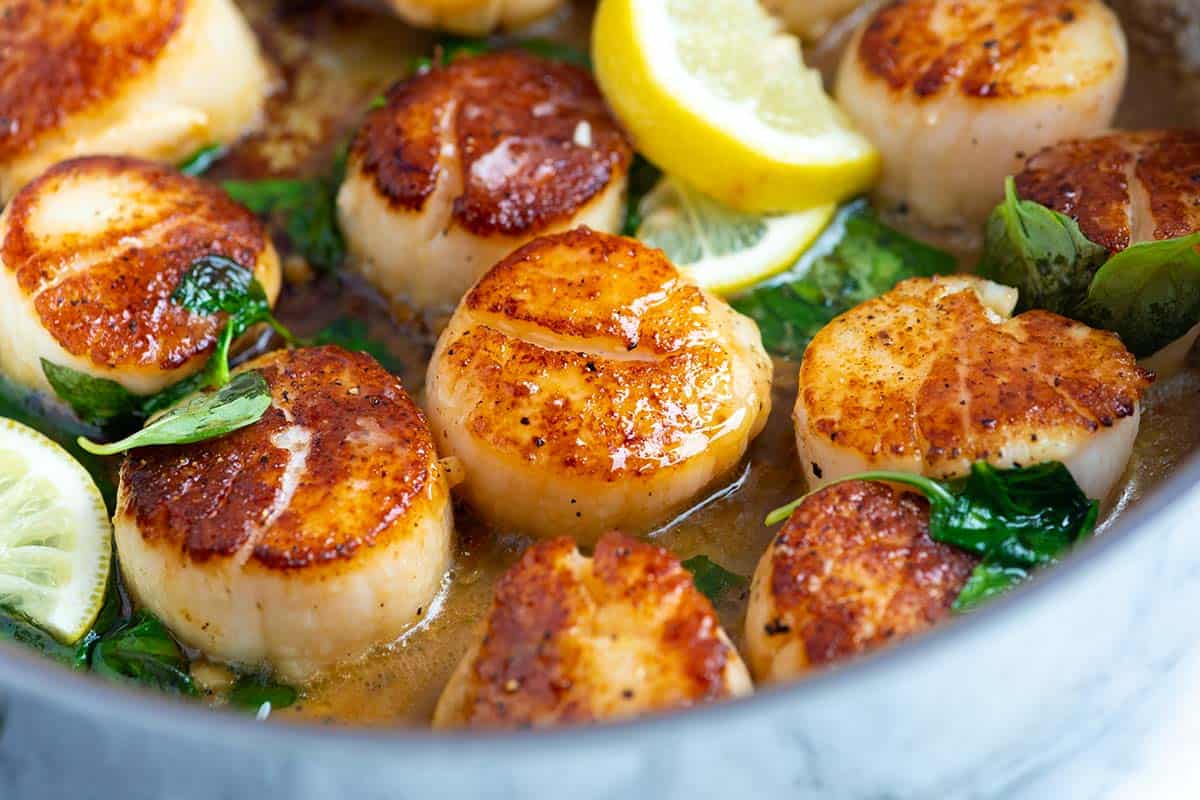 Pan-Seared Scallops Recipe