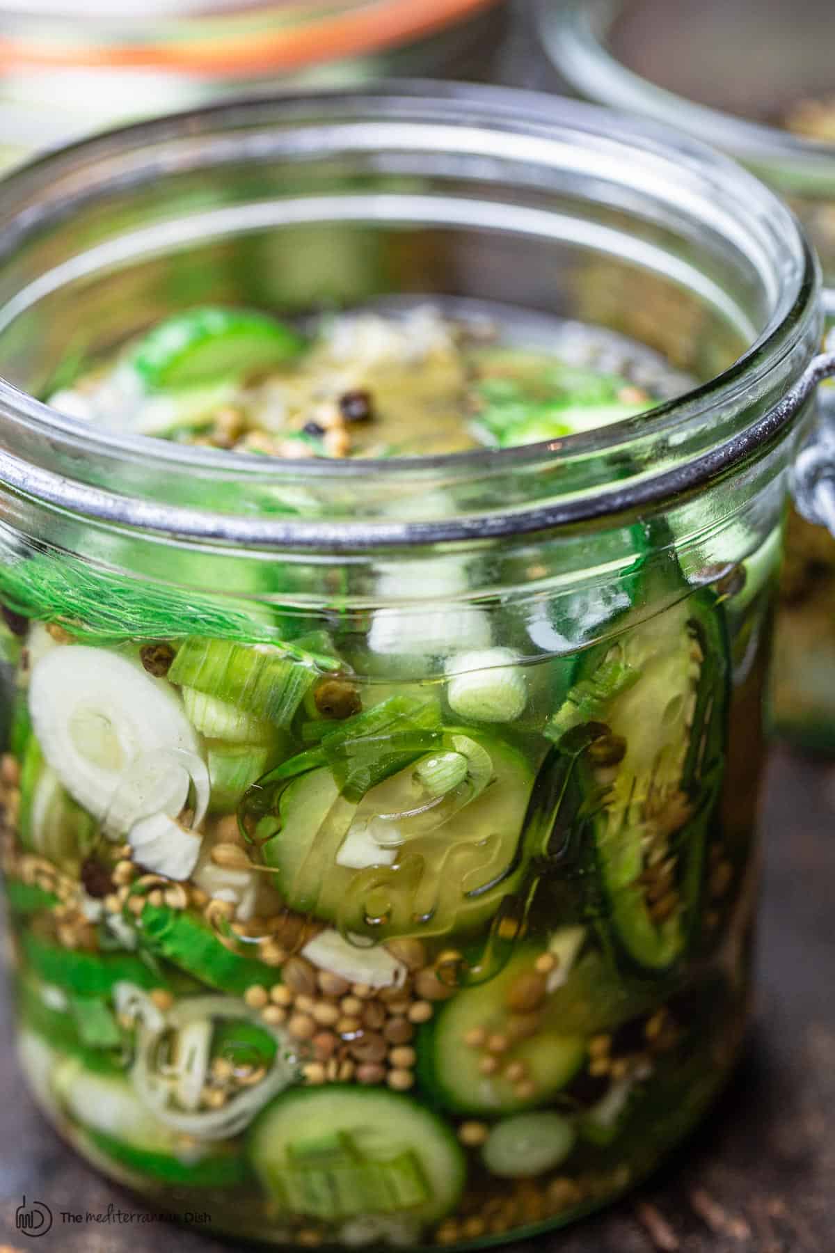 Quick Pickles Recipe