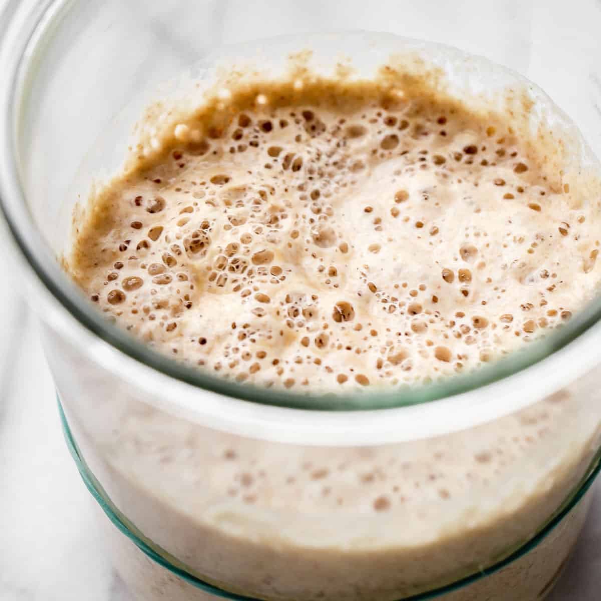 Sourdough Starter Recipe