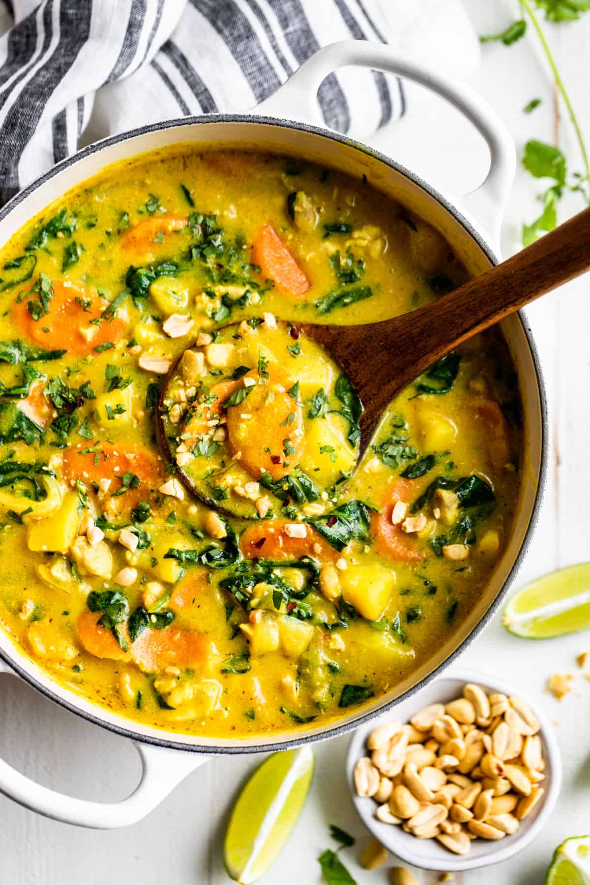 Light Thai Curry Recipe