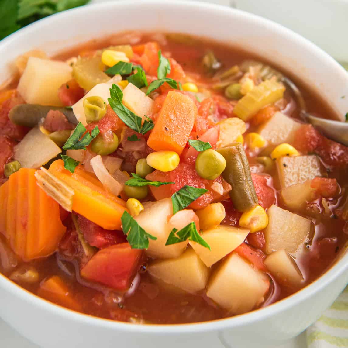 Crockpot Vegetable Soup Recipe