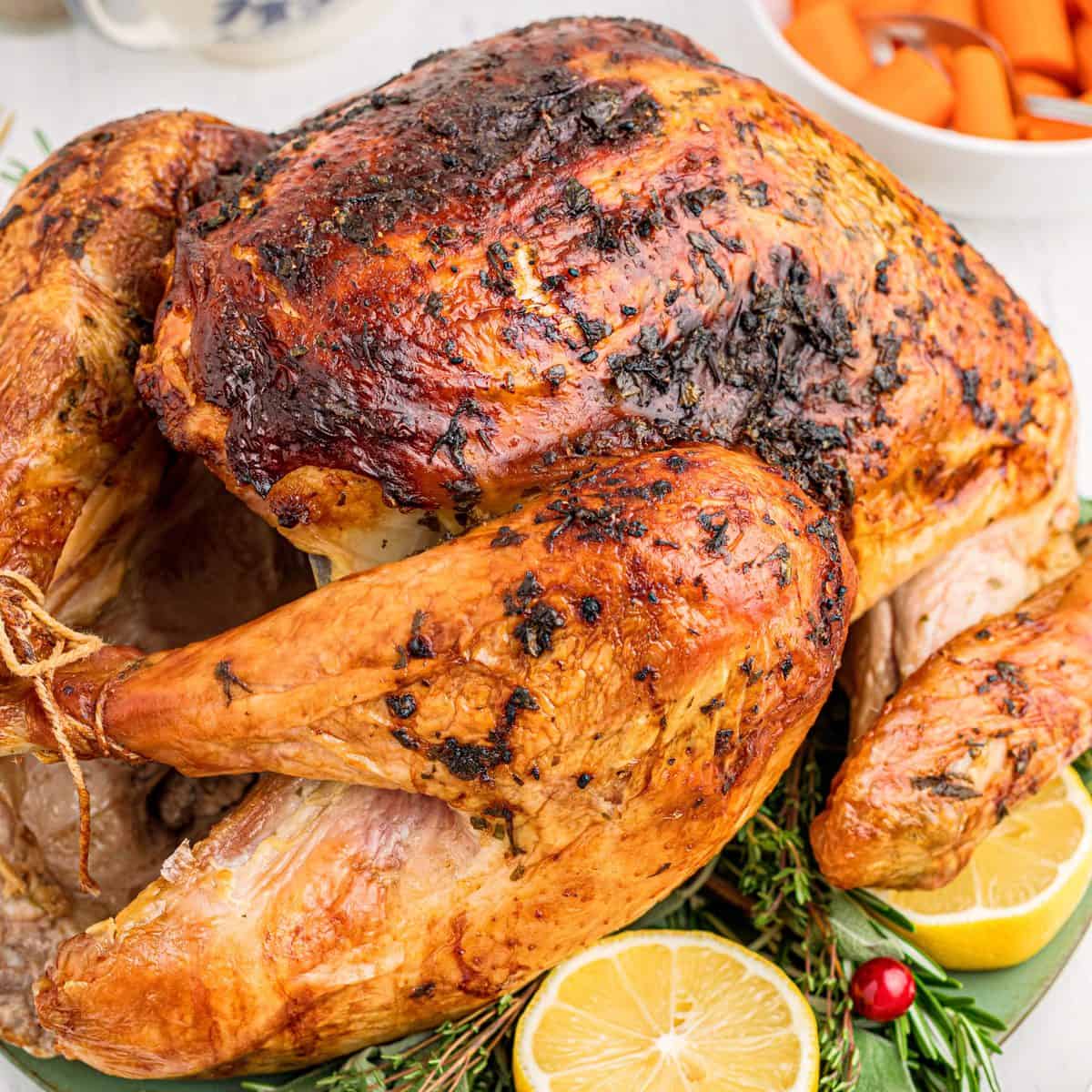 Roasted Turkey Recipe