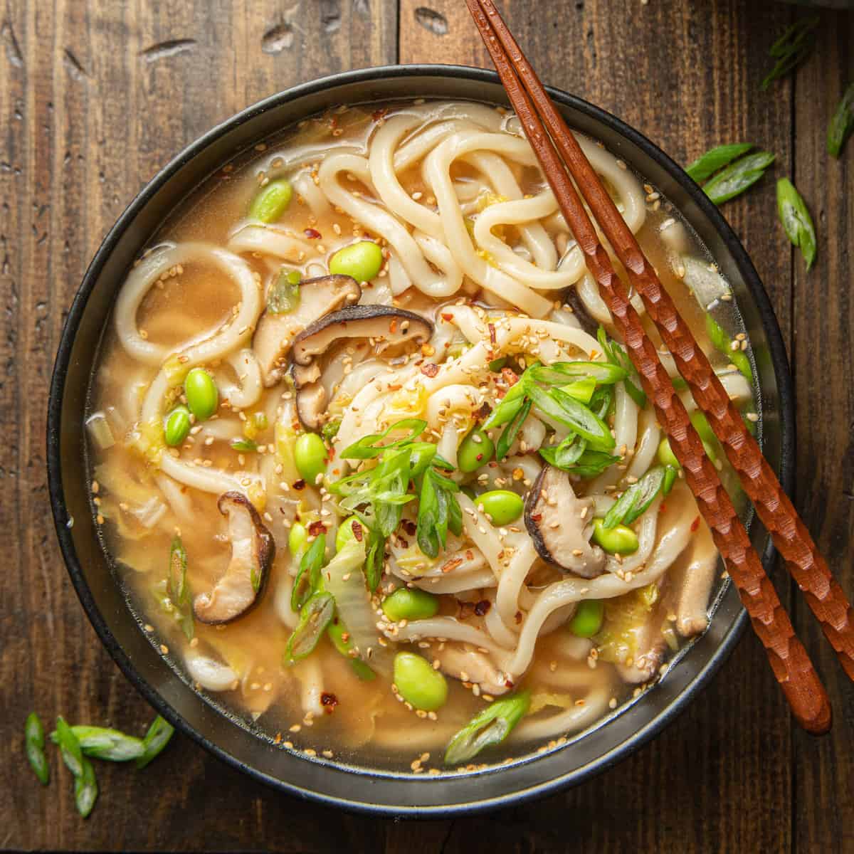 Japanese Udon Noodle Soup Recipe