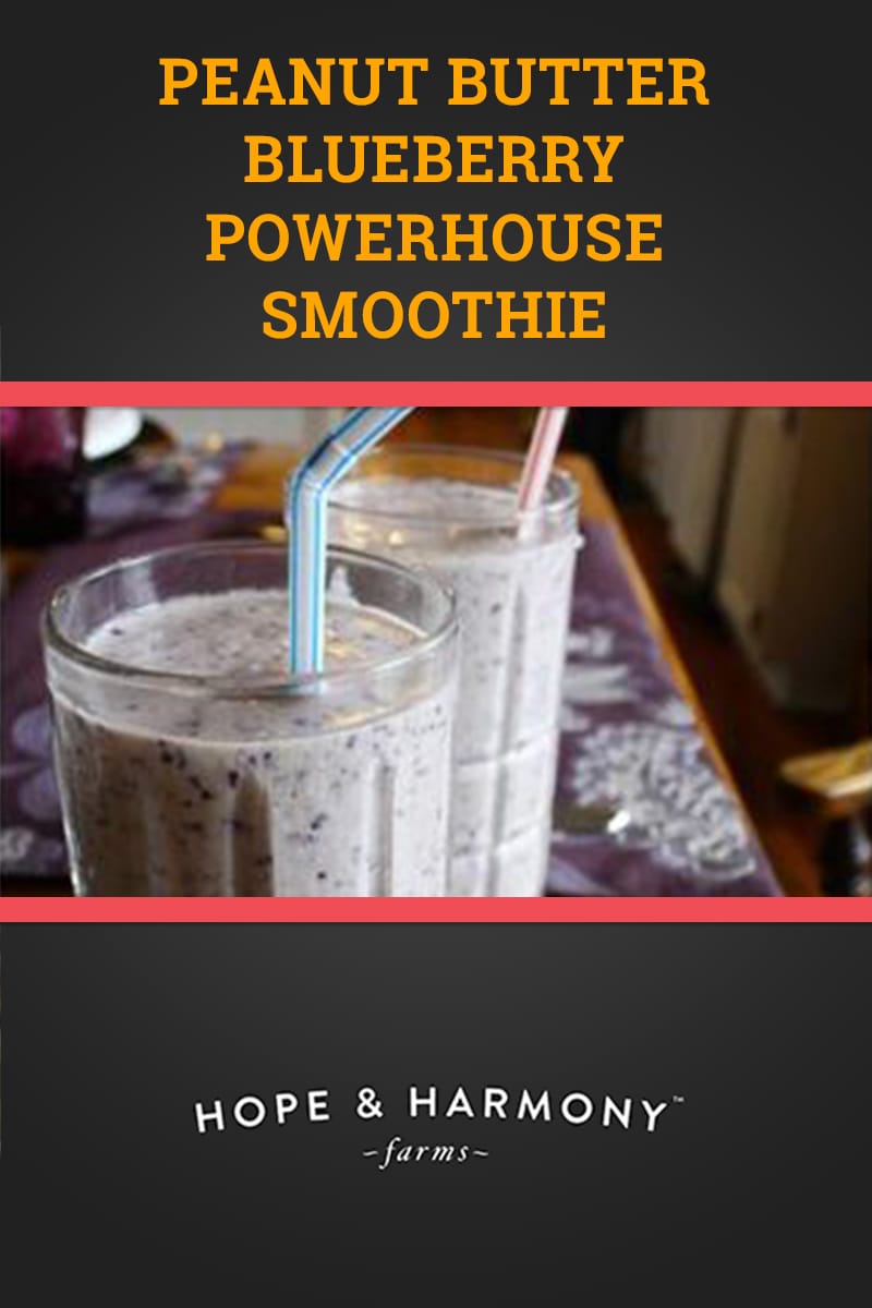 Peanut Butter Powerhouse Smoothie Recipe
