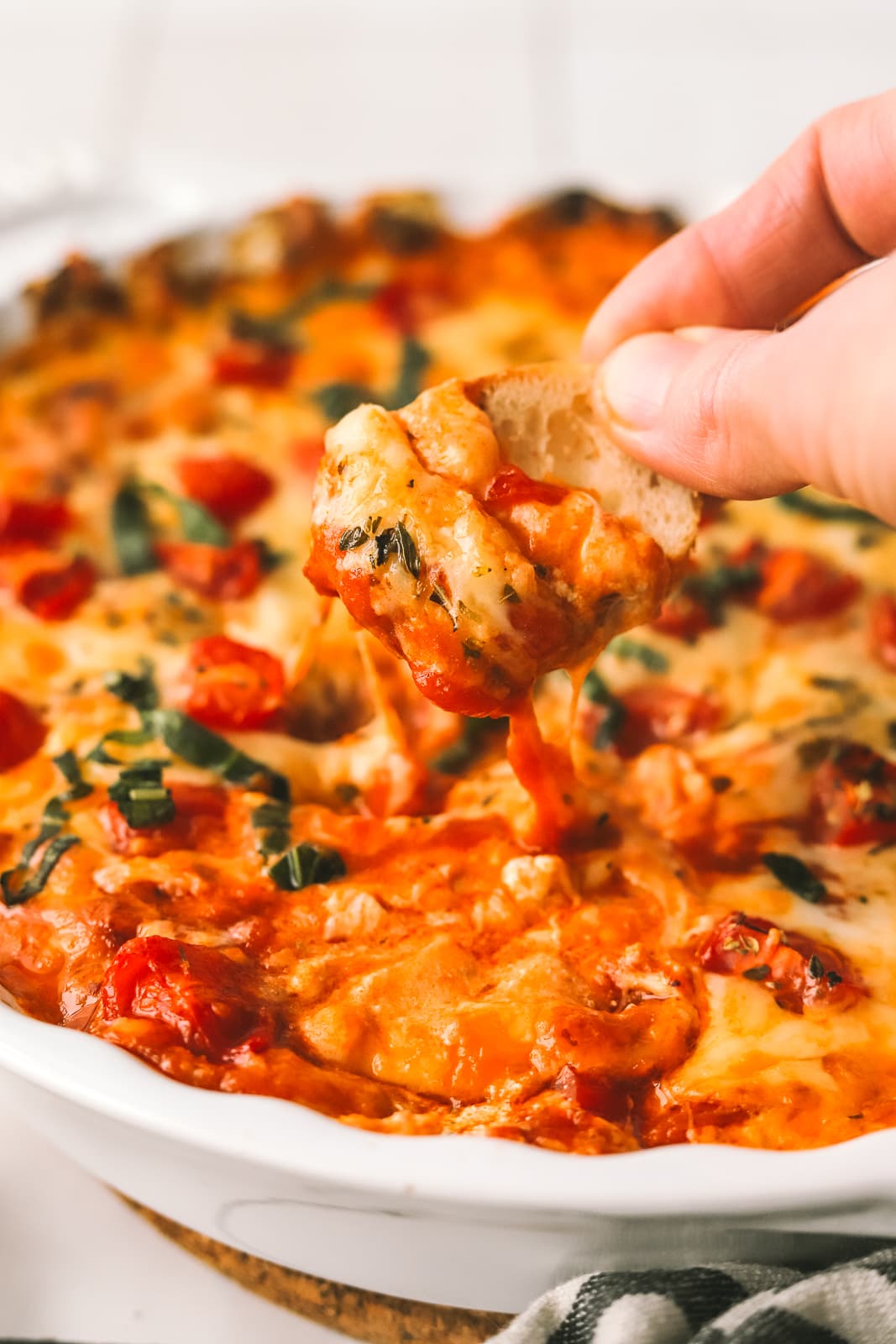 Pizza Pasta Dip Recipe
