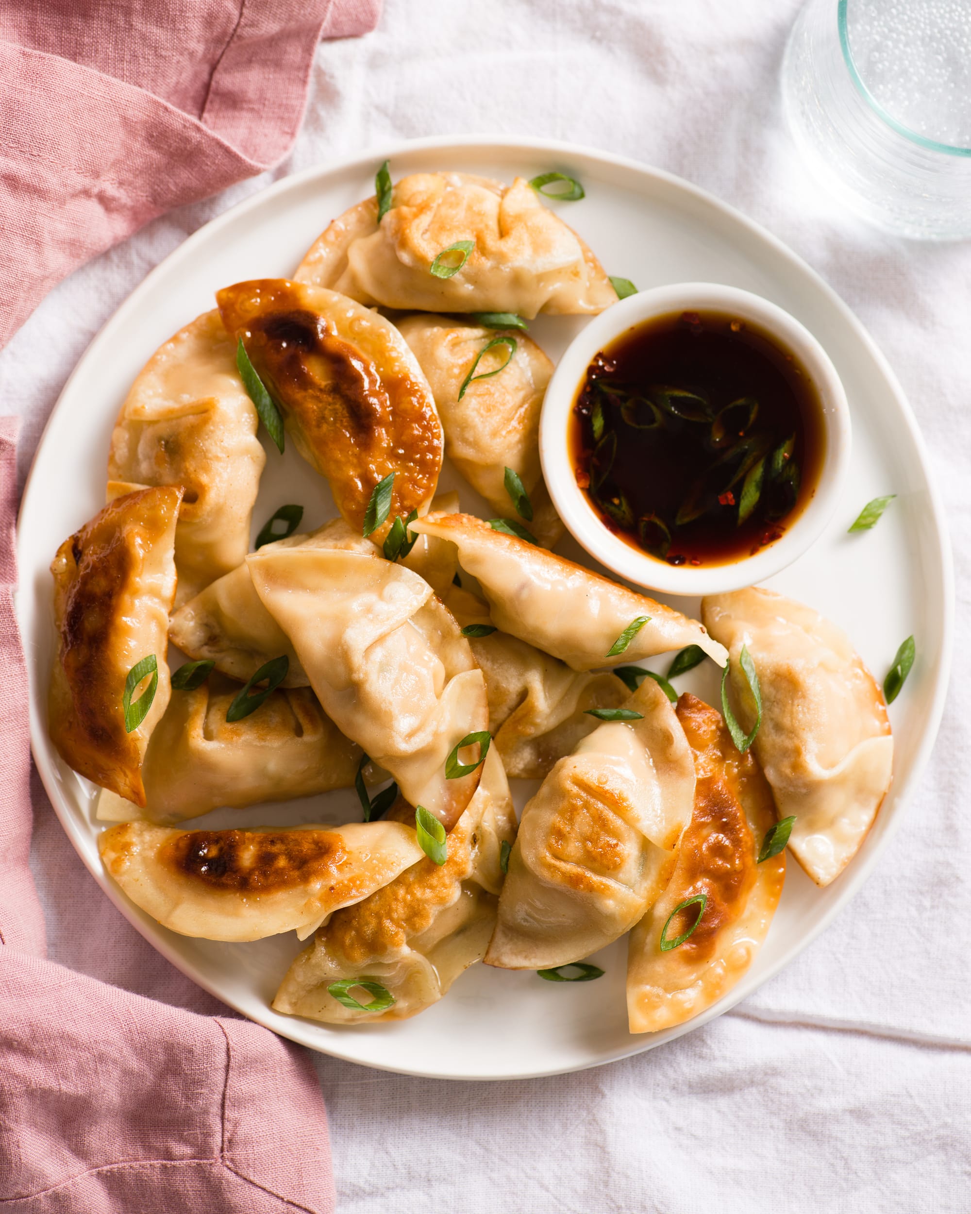 Chicken Pot Stickers Recipe