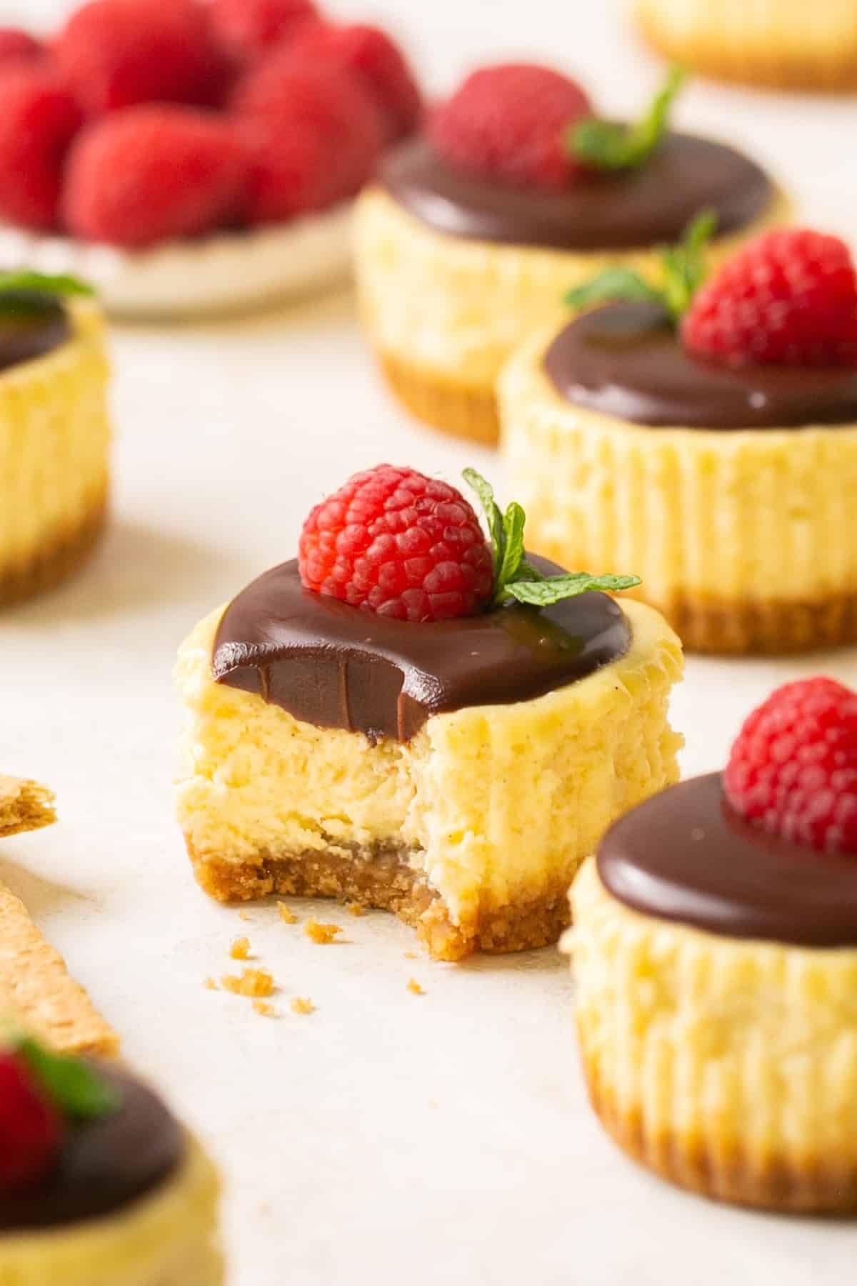 Cheesecake Bites Recipe