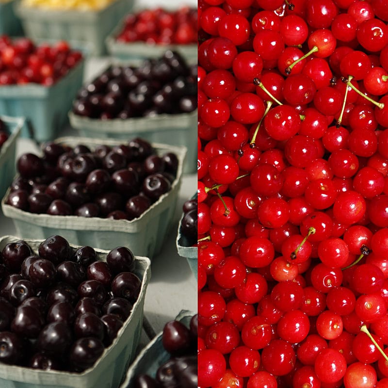 Tart Cherries