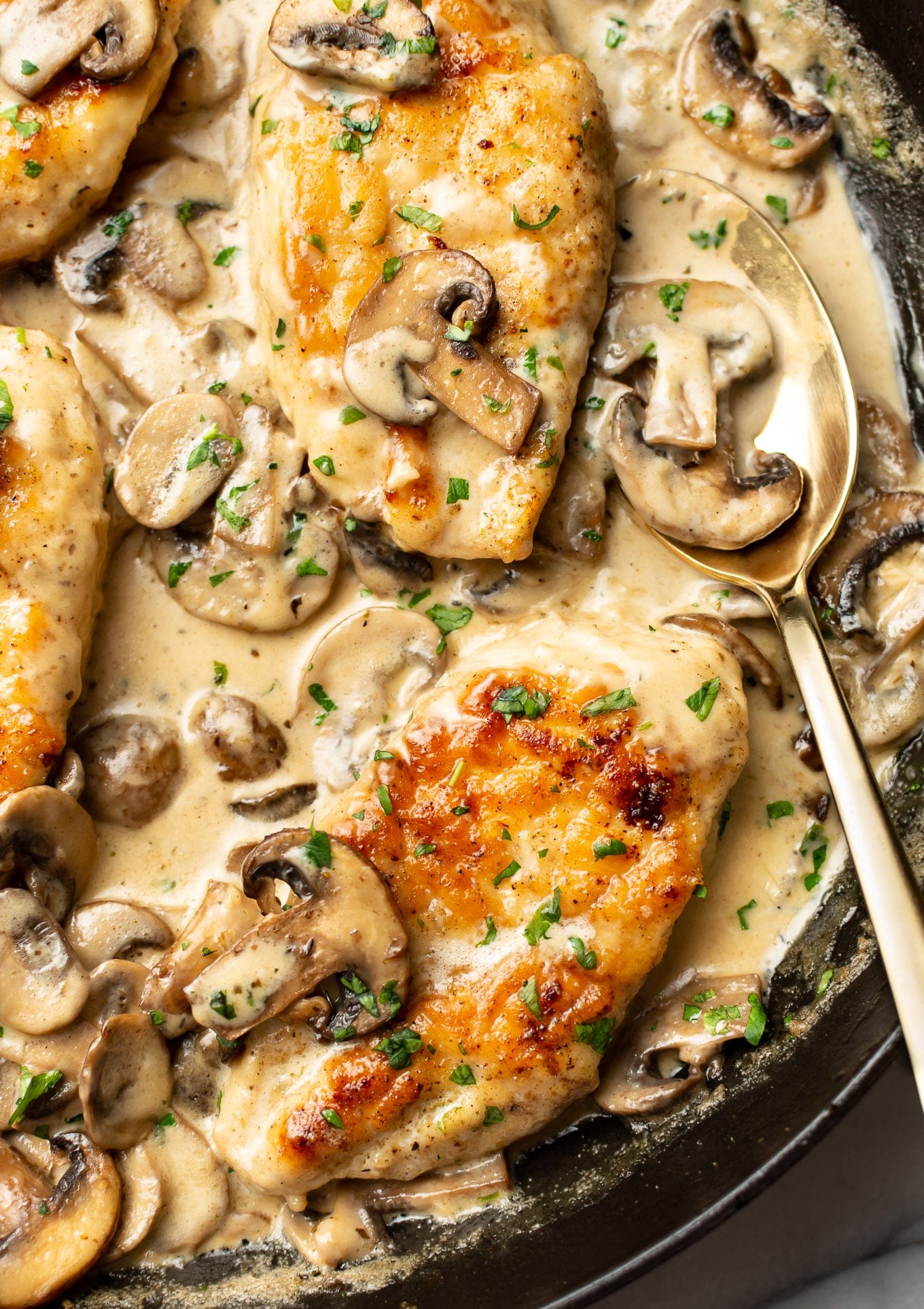 Creamy Mushroom Chicken Recipe