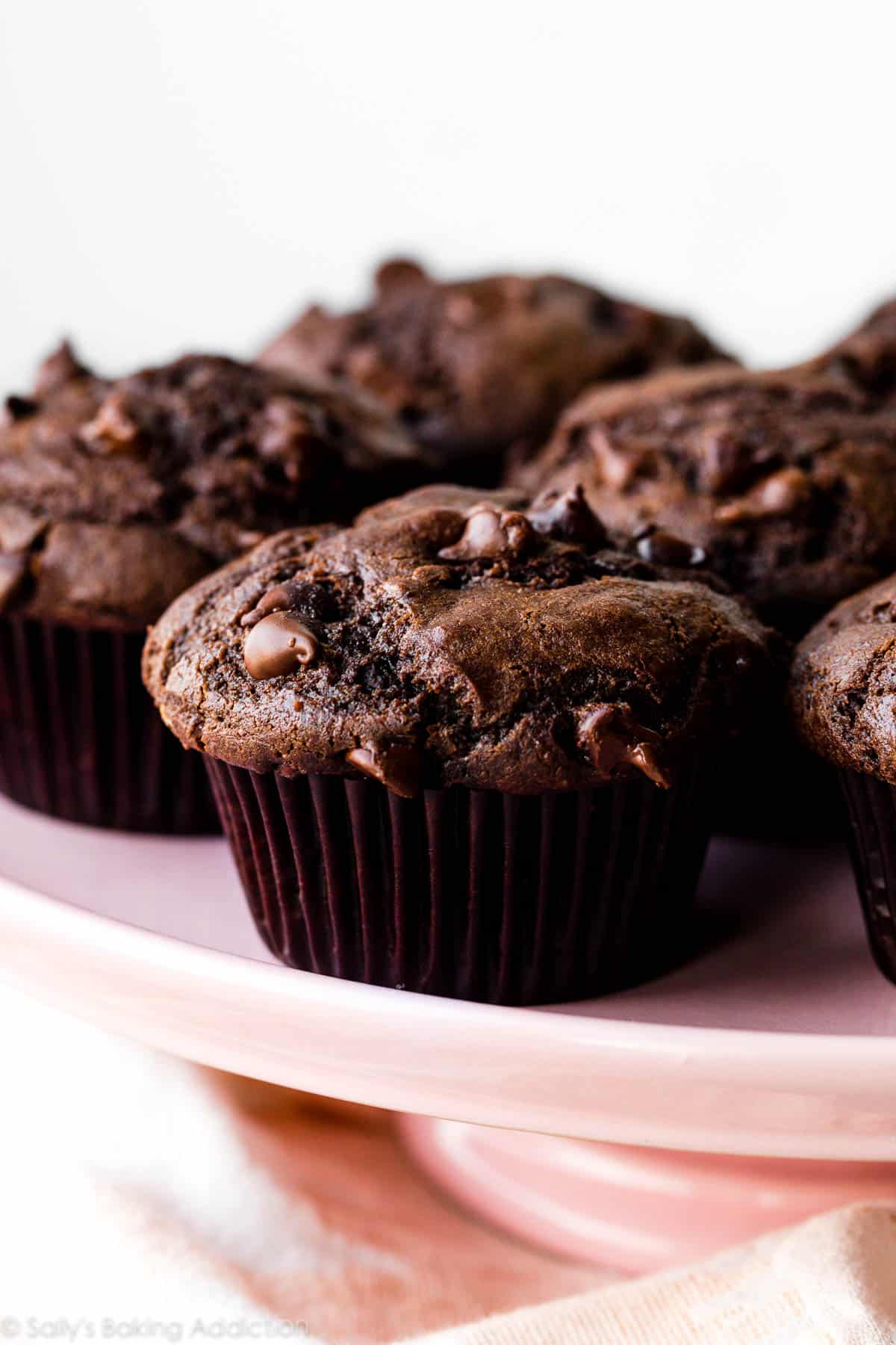 Double Chocolate Muffins Recipe
