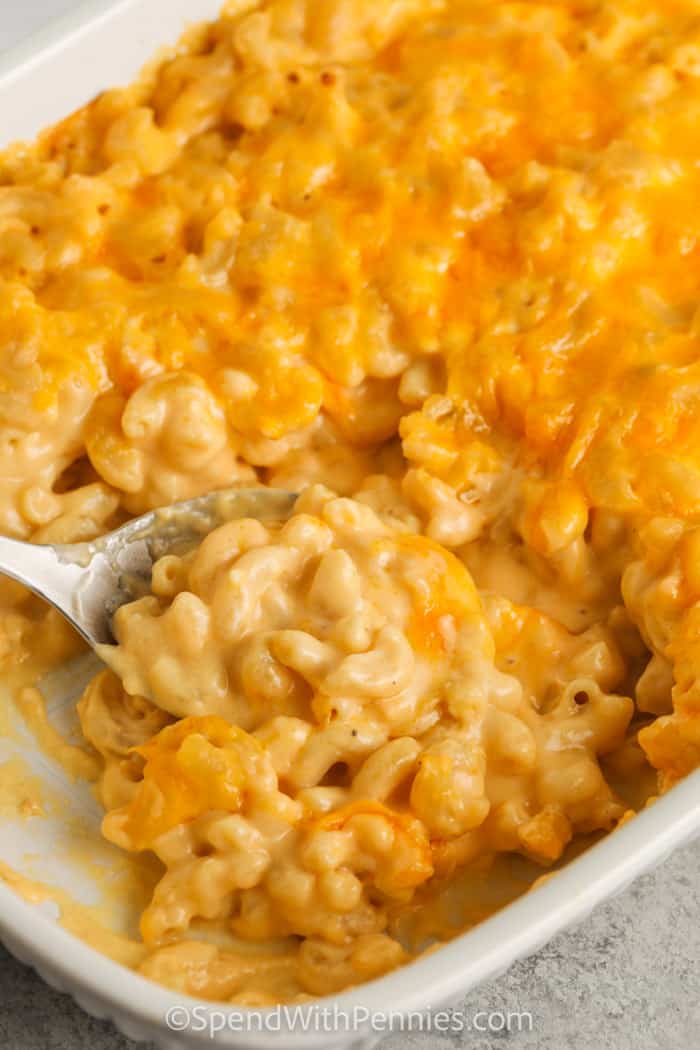 Mac and Cheese Casserole Recipe