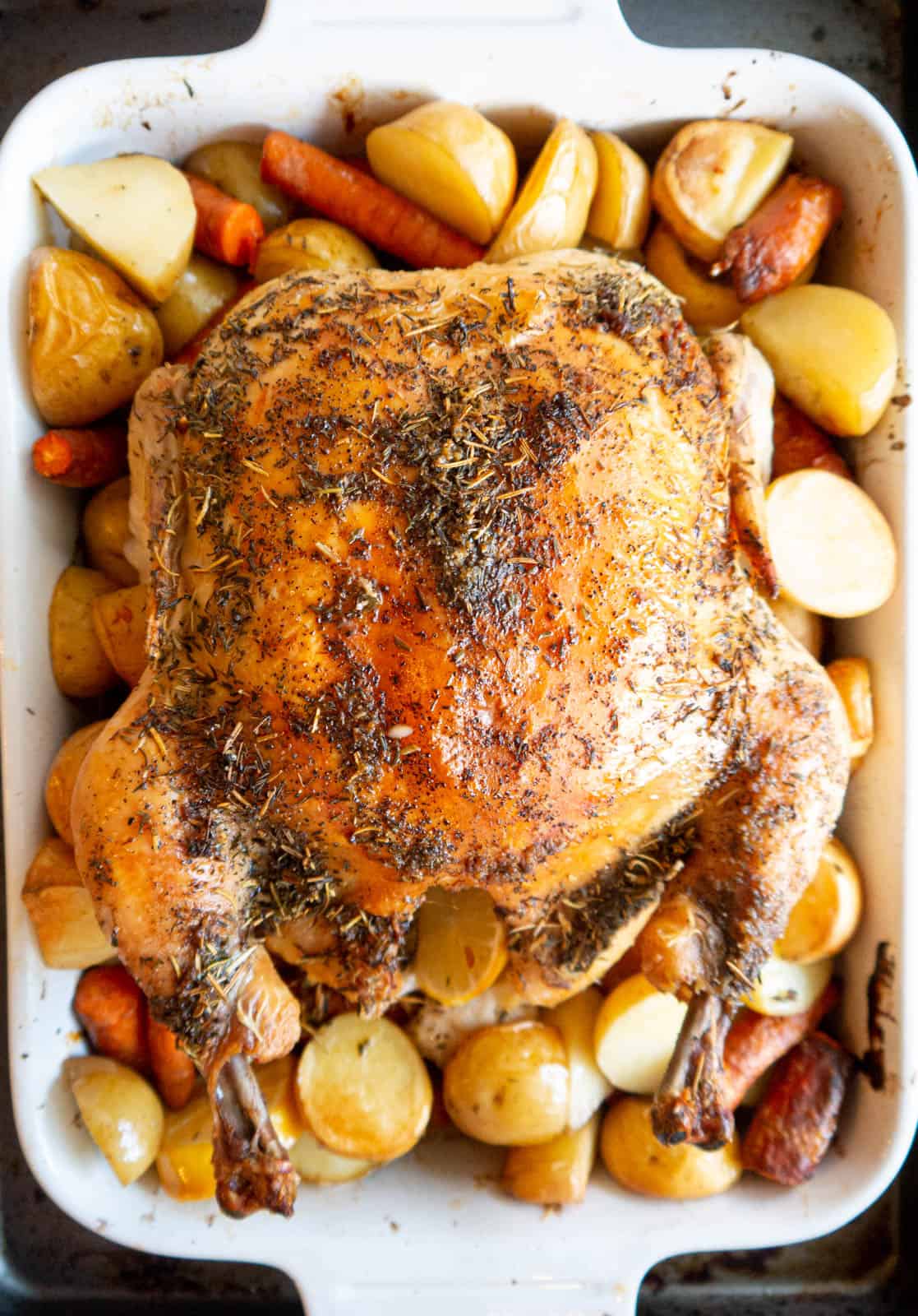 Lemon Herb Roasted Chicken with Root Vegetables Recipe