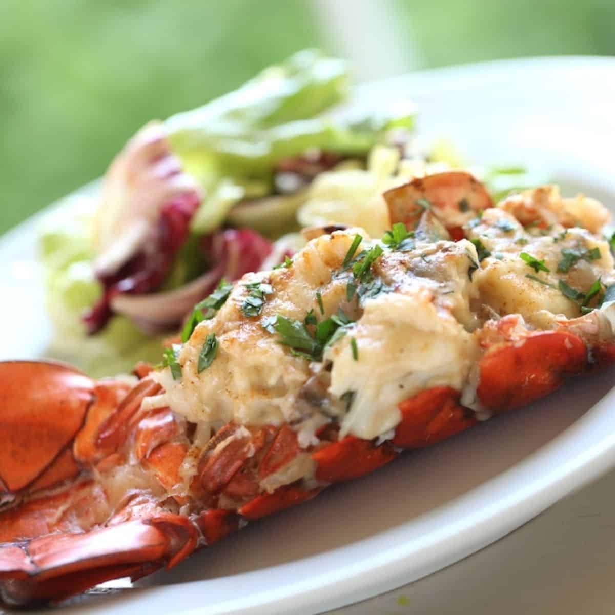 Lobster Thermidor Recipe