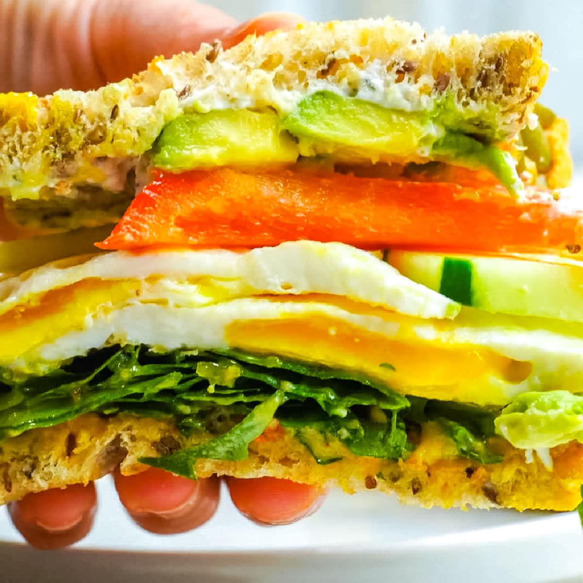 Mediterranean Breakfast Sandwich with Hummus