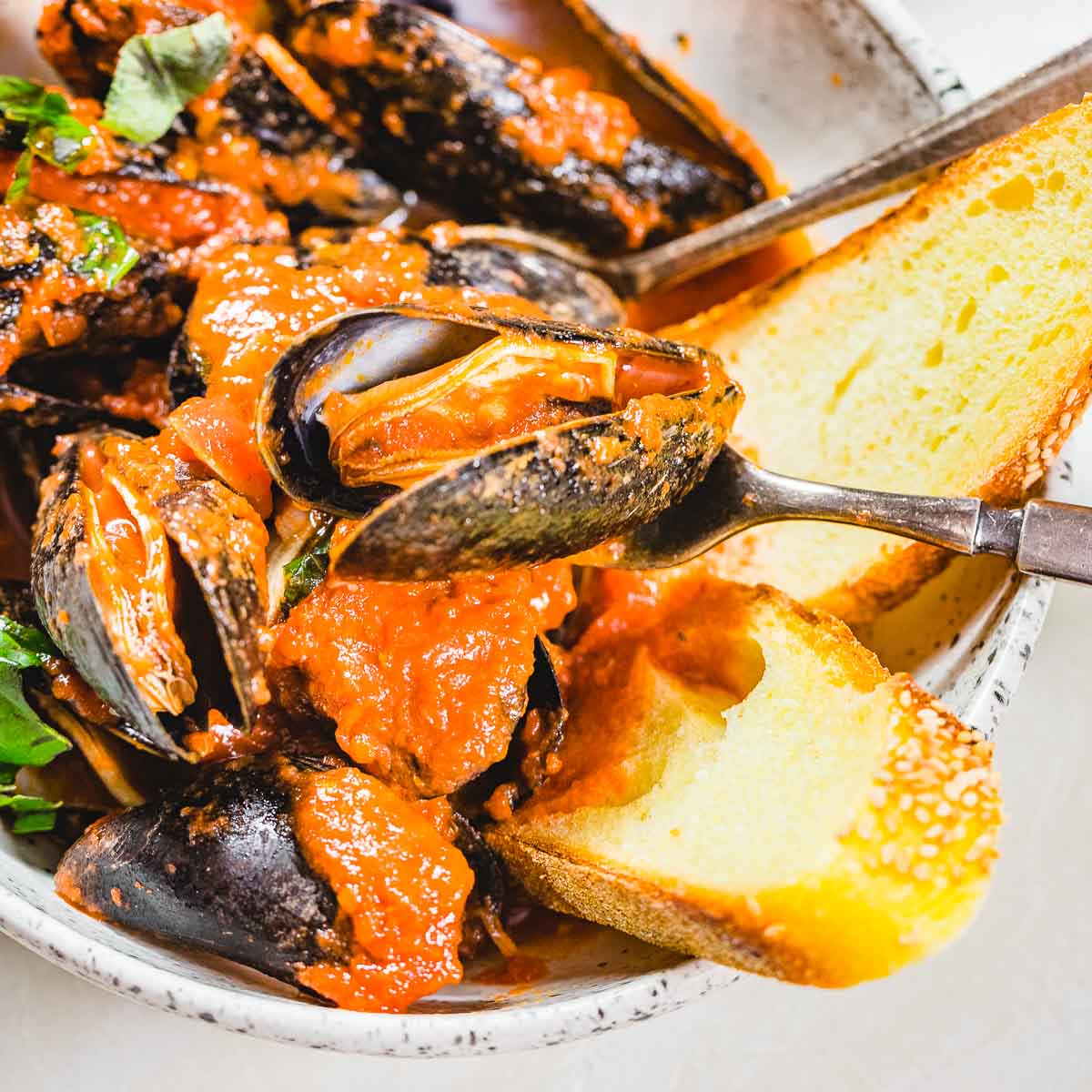 Mussels Marinara Recipe