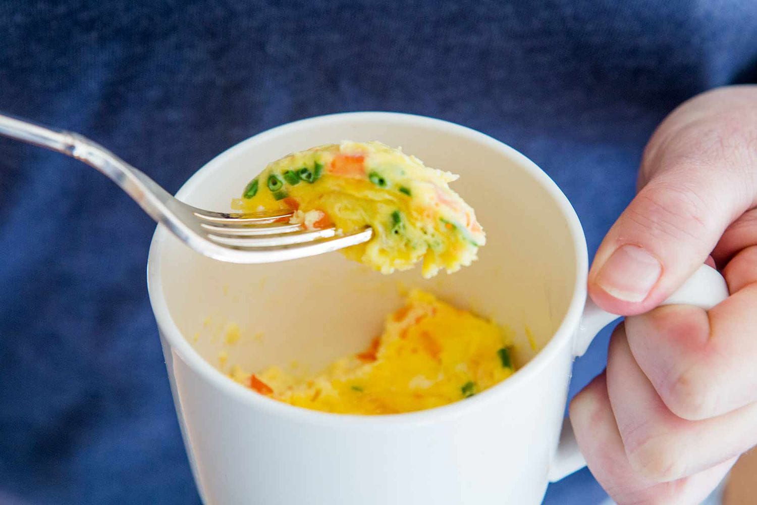 Microwave Mug Omelet Recipe