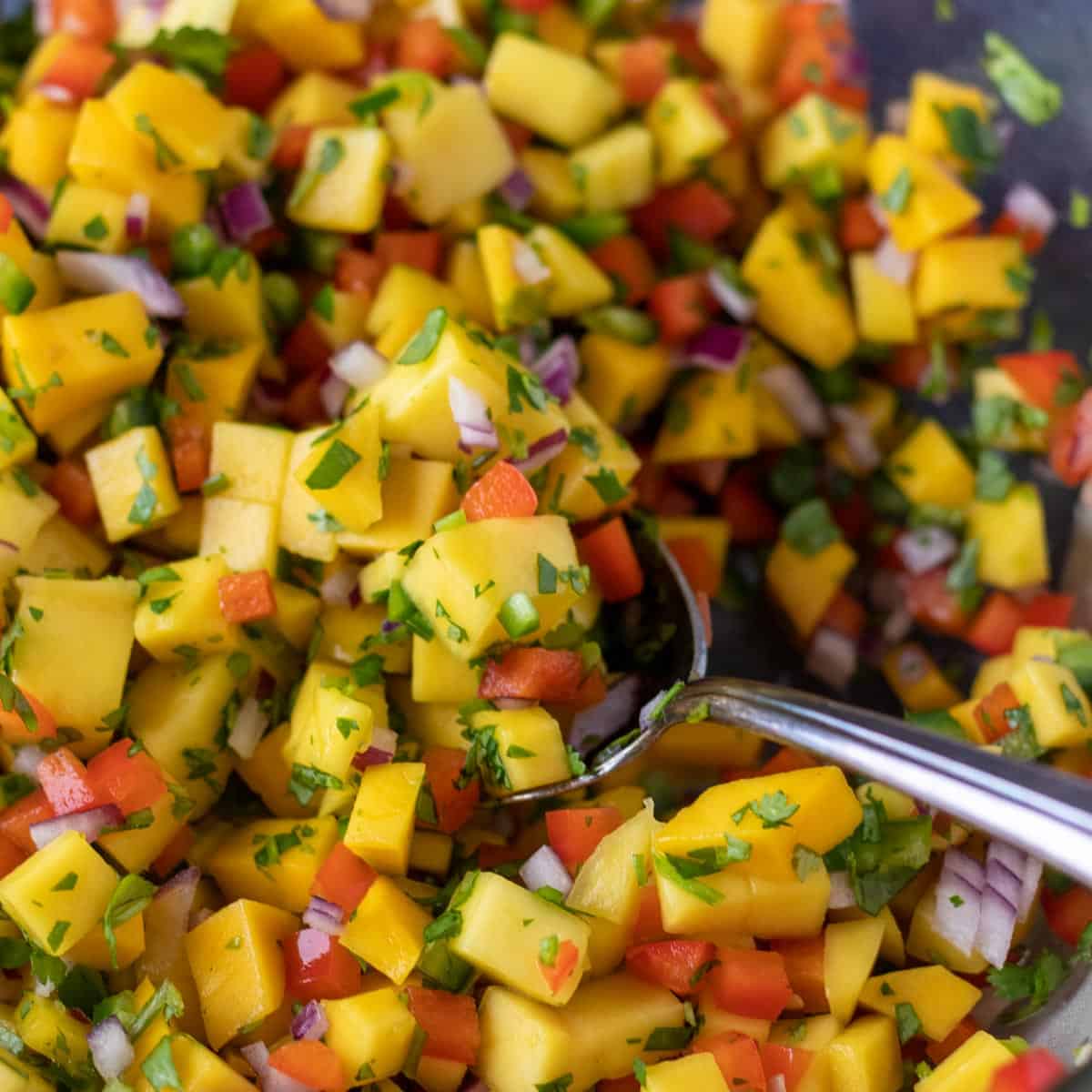 Spicy Mango Salsa Recipe
