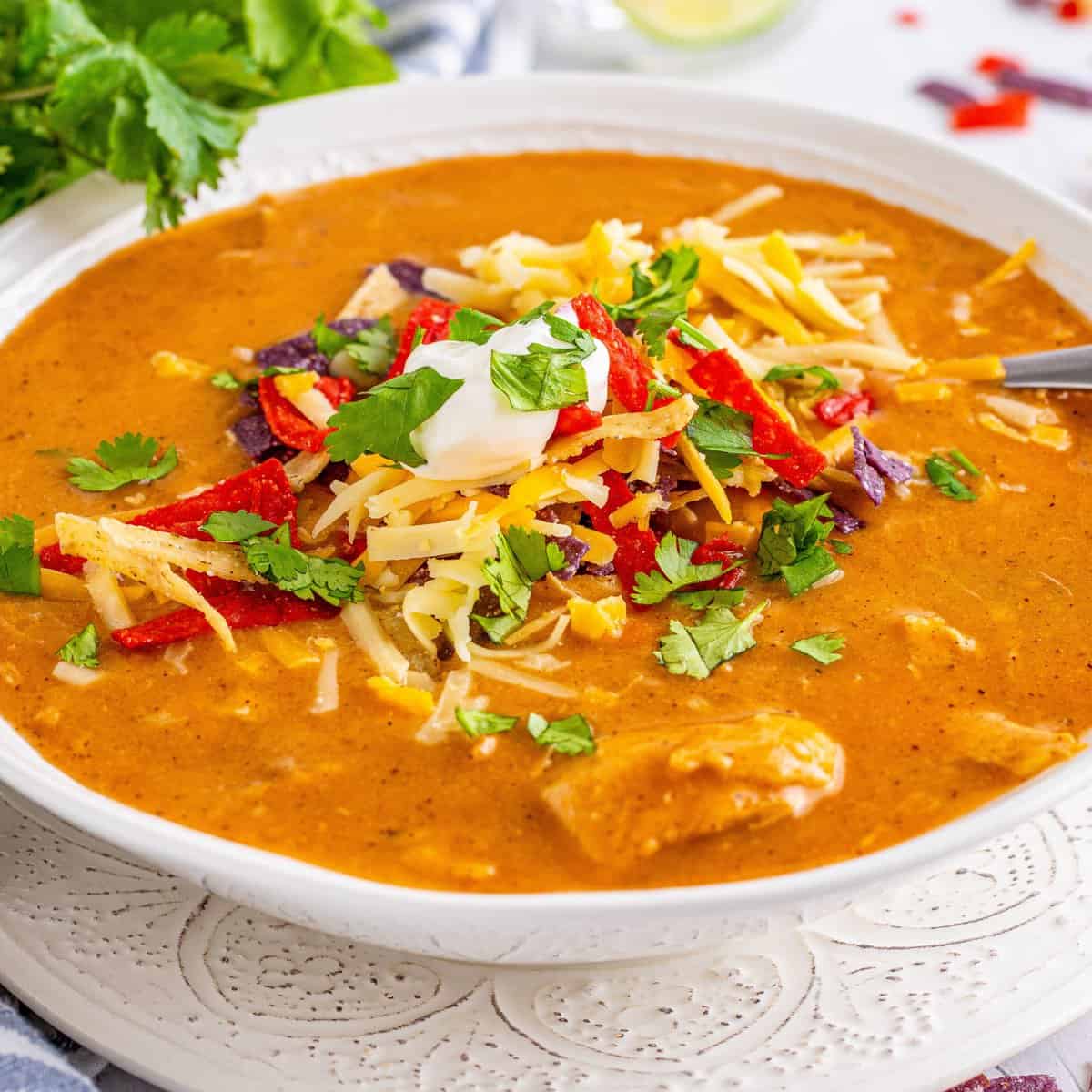 Chicken Enchilada Soup Recipe