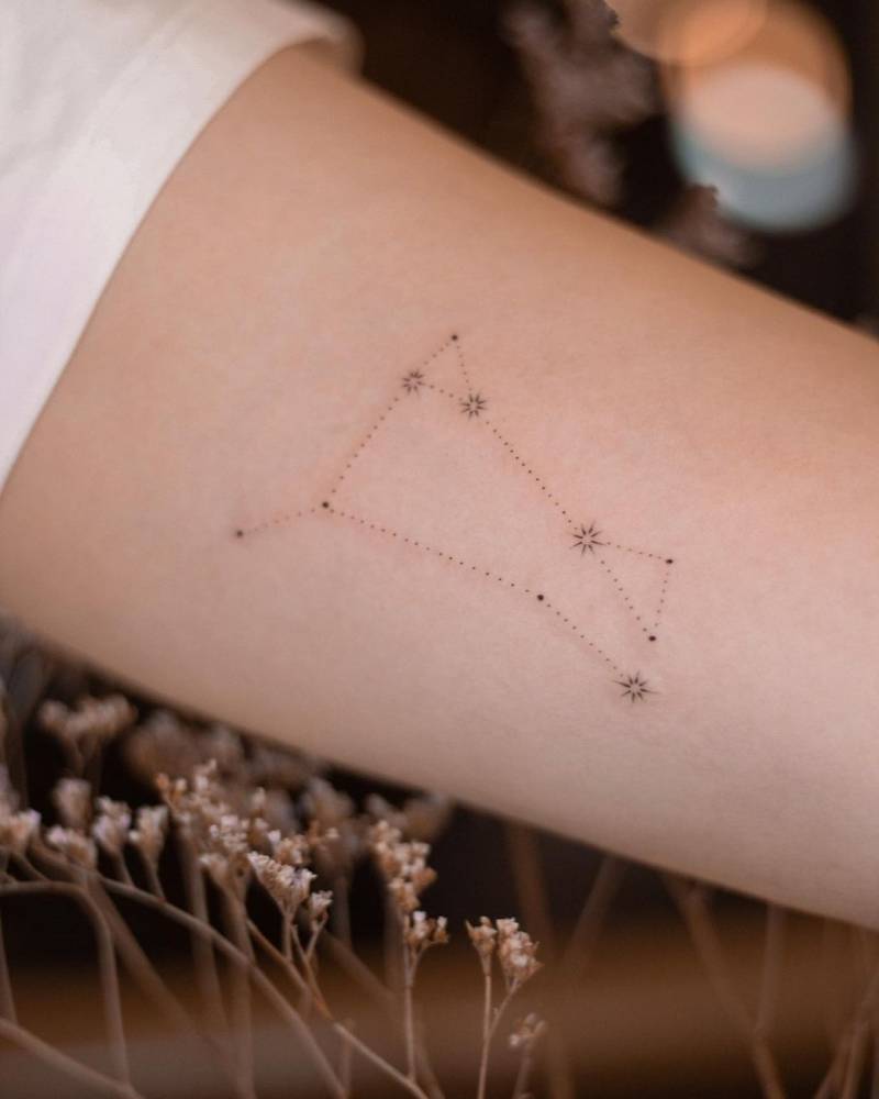 constellation fine line