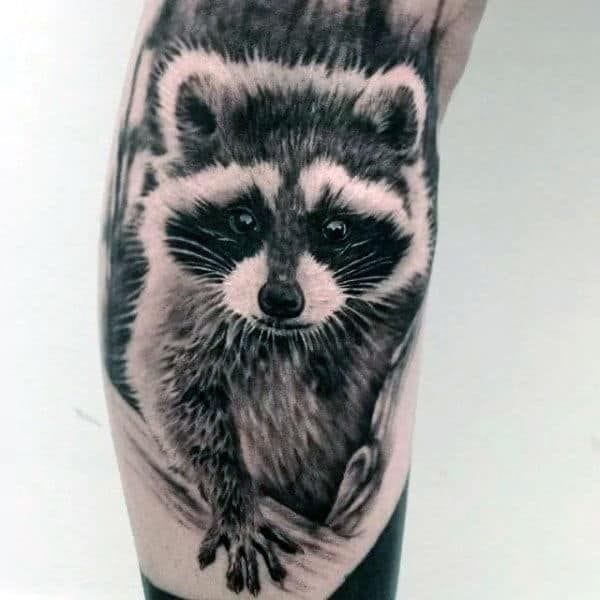 realistic raccoon tattoo