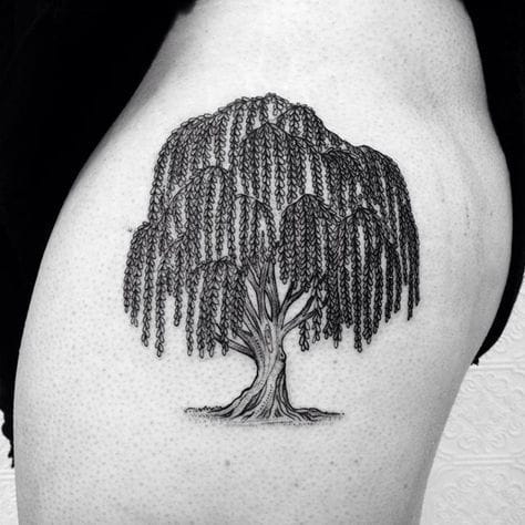 family willow tree tattoo