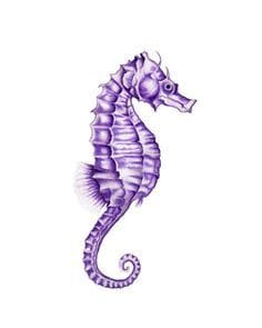 purple seahorse tattoo