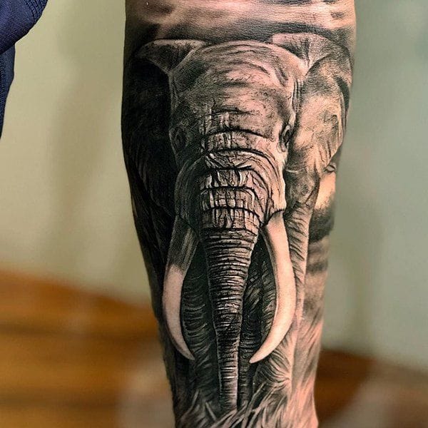 realistic elephant tattoo