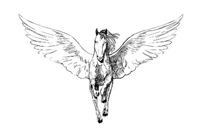front view pegasus tattoo