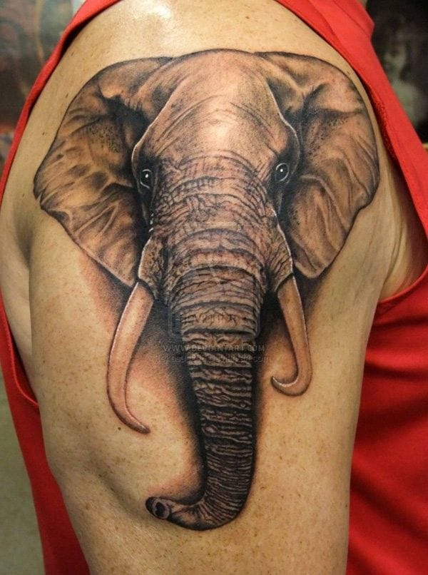elephant head tattoo