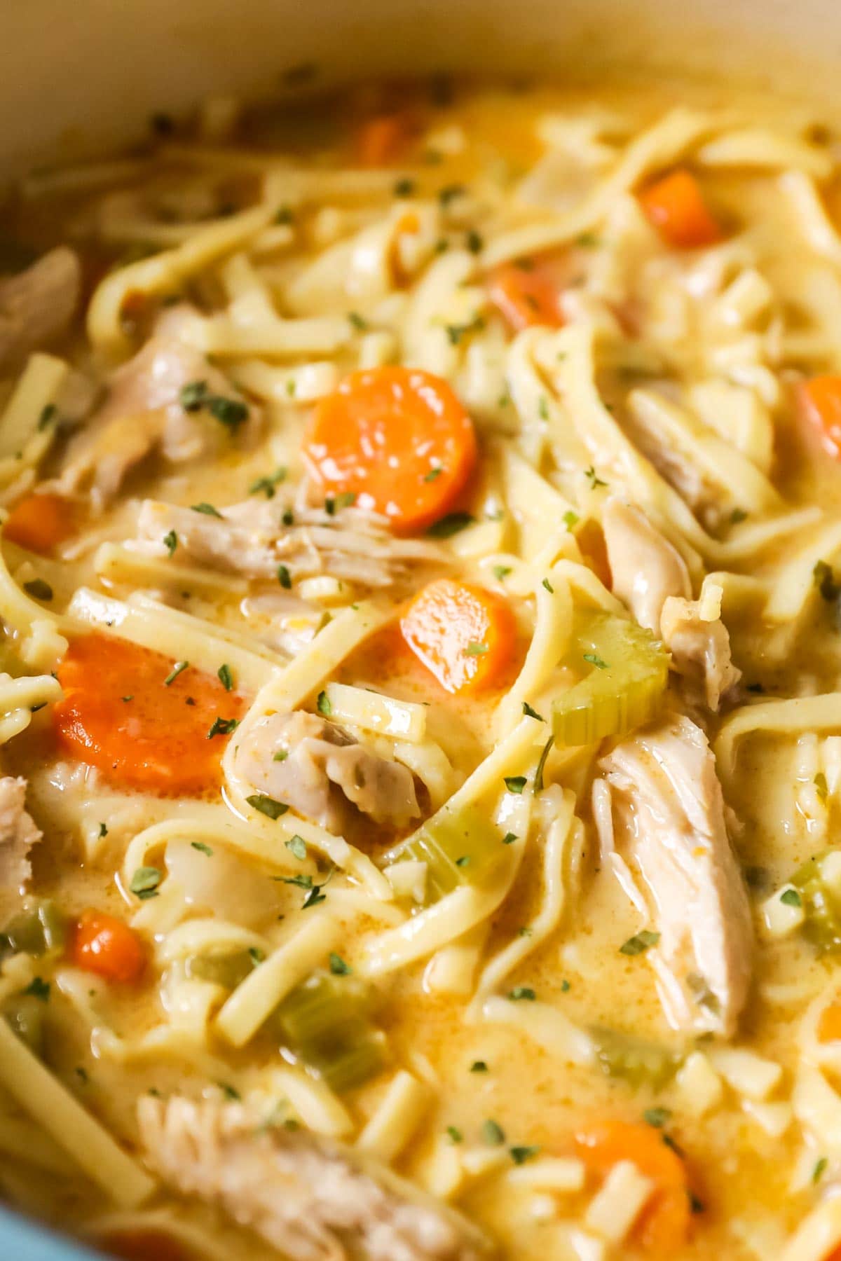 Chicken Noodle Soup Recipe