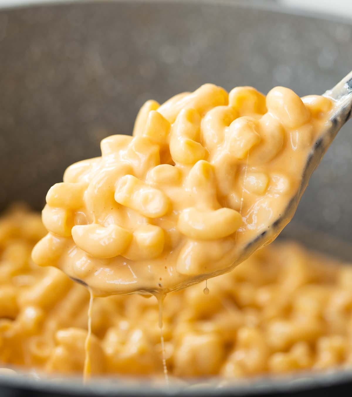 One-Pot Mac and Cheese Recipe
