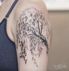 unique willow tree tattoo