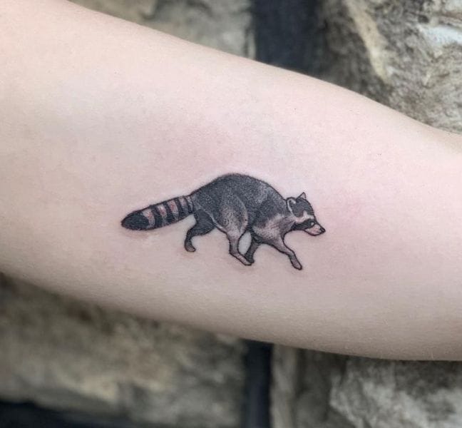 tiny raccoon tattoo