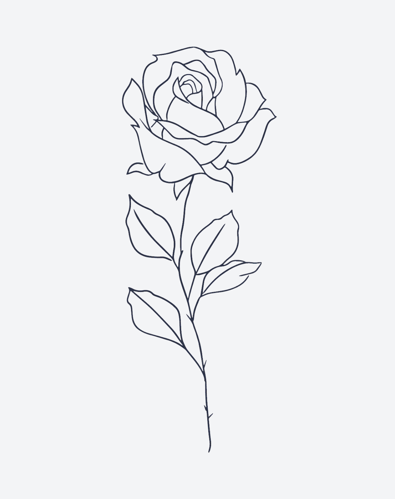 rose fine line