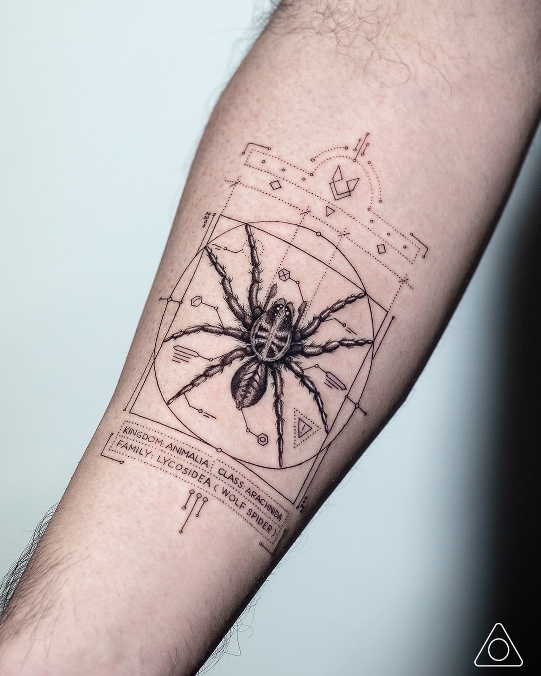 geometric spider tattoo
