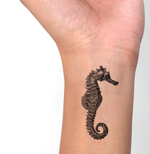 realistic seahorse tattoo