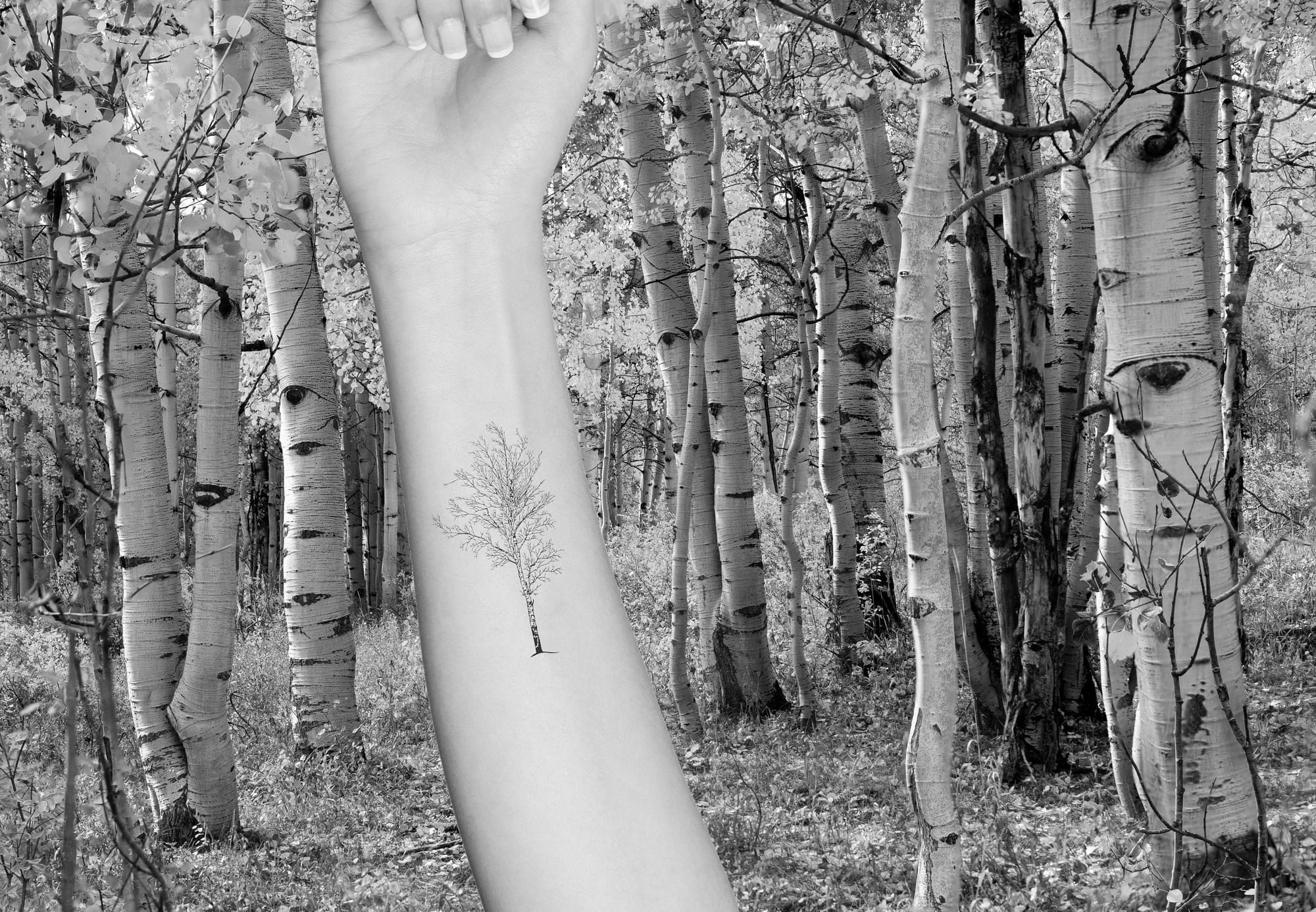 birch tree forest tattoo