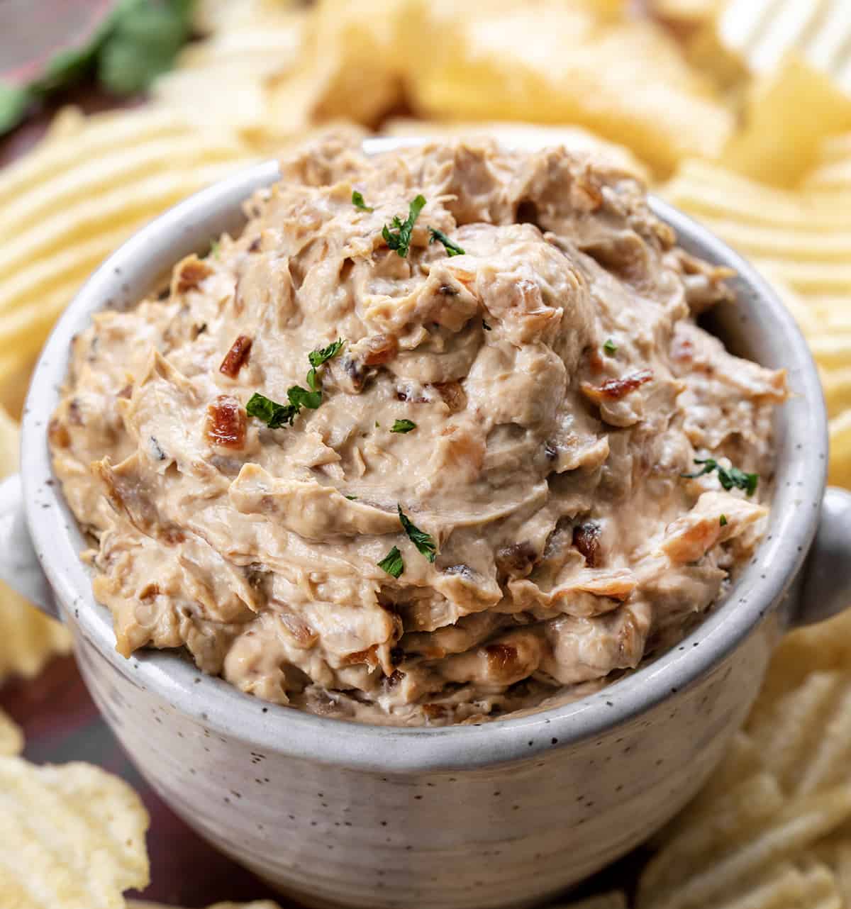 Onion Dip Recipe