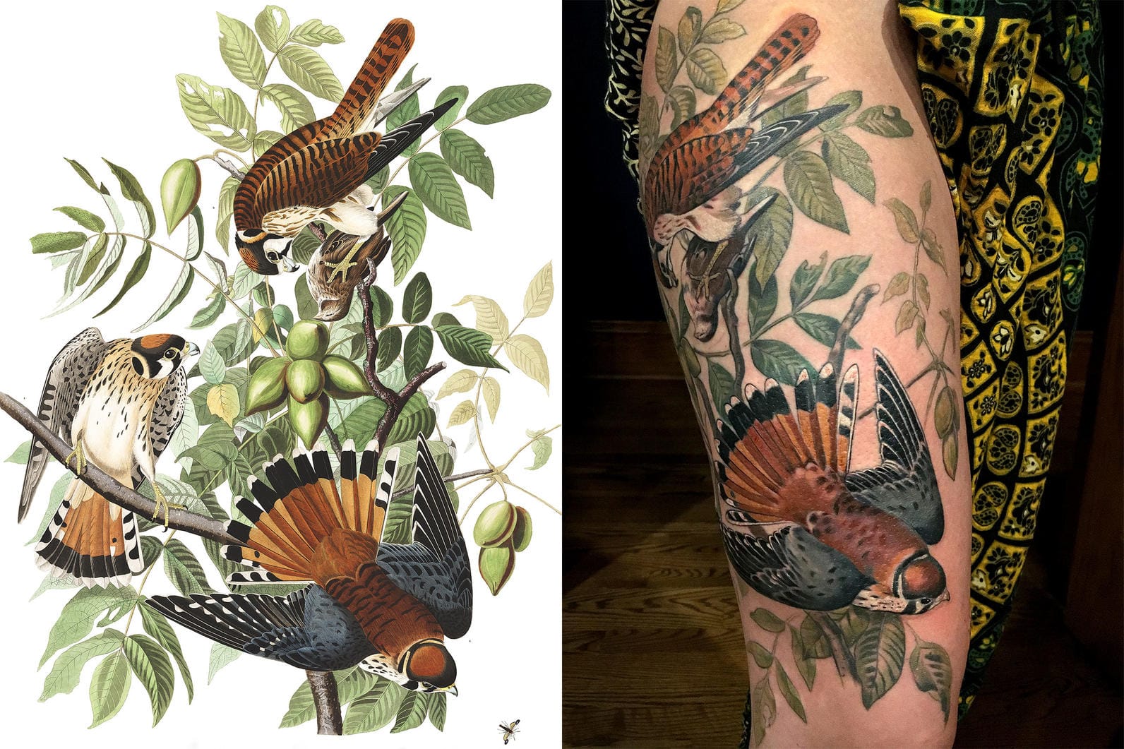 detailed bird portrait tattoo