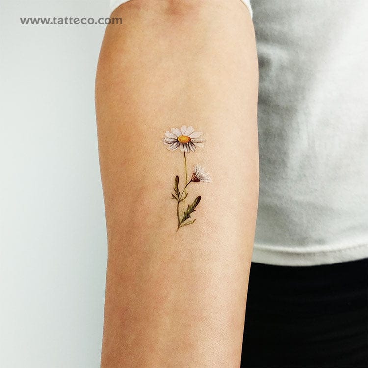 watercolor daisy tattoo