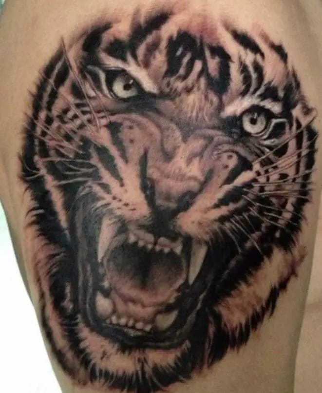 roaring tiger tattoo