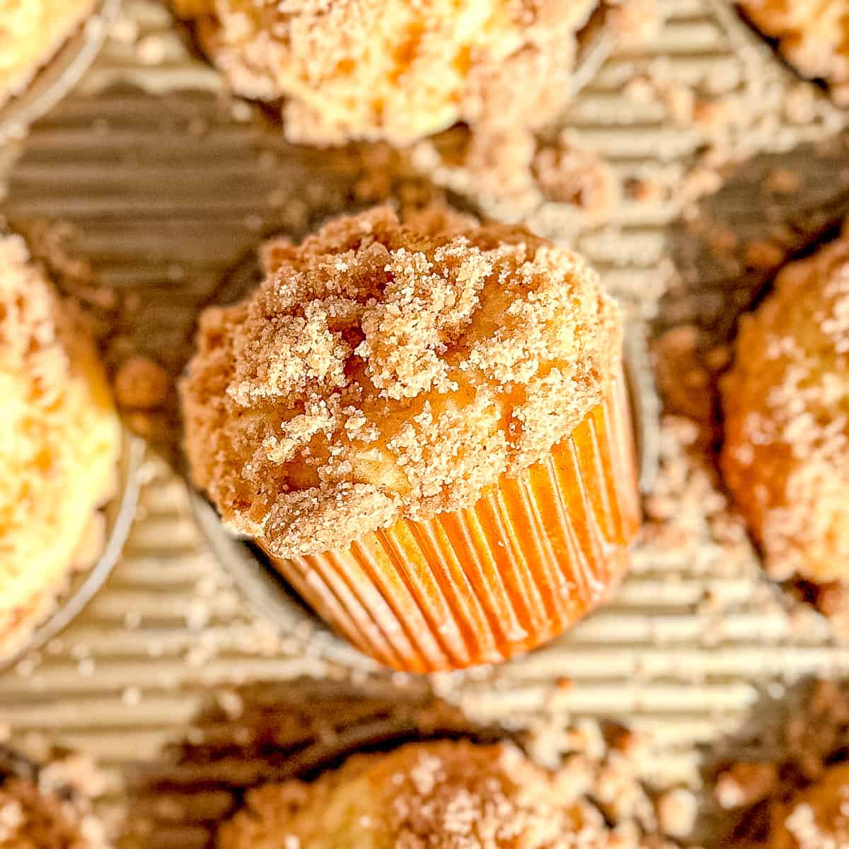 Coffee Cake Muffins