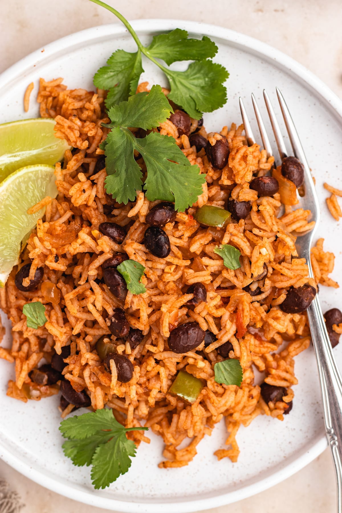 Spanish Rice and Beans