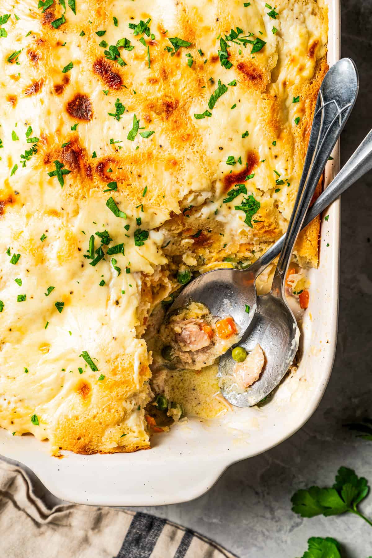 Chicken Cobbler (Savory)