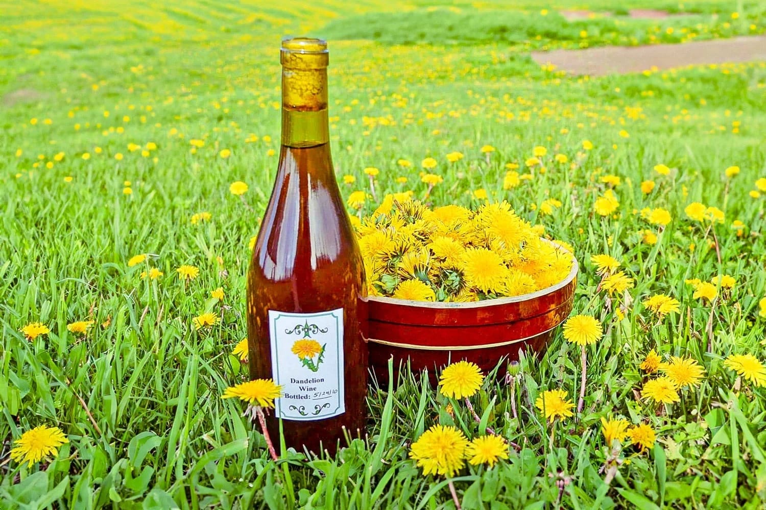 Dandelion Wine
