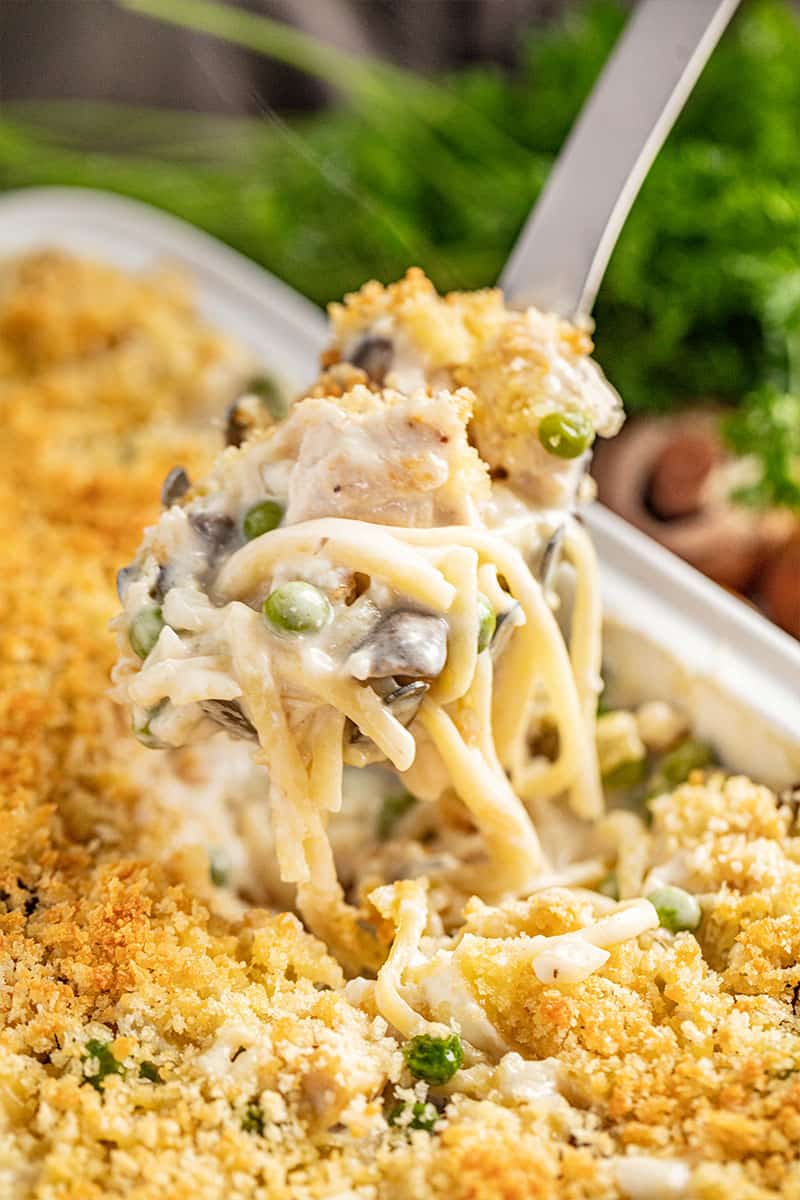 Cheesy Chicken Tetrazzini